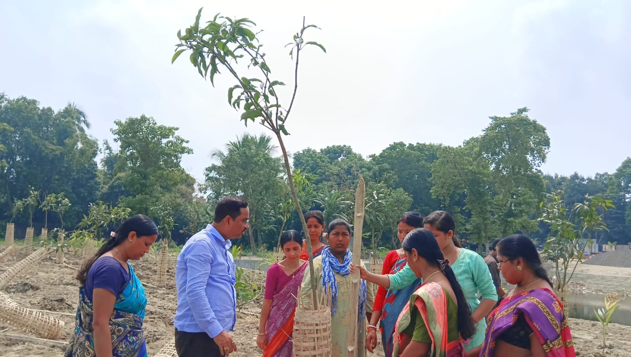 কালিয়াগঞ্জ বিসর্জন ঘাটের সৌন্দর্যয়নে নানান প্রজাতির গাছ লাগলেন পৌর পিতা