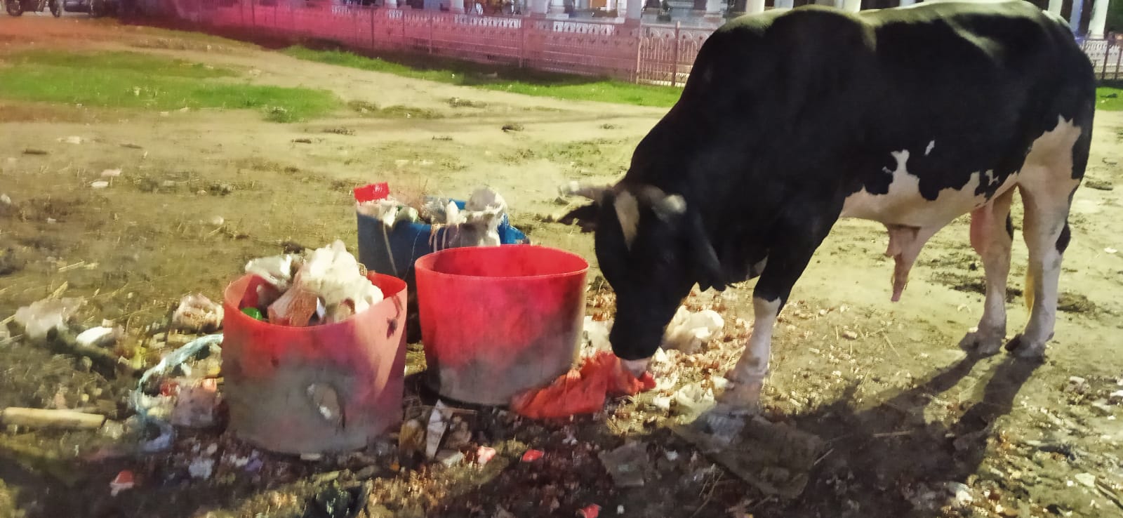 বাজারের আবর্জনা মহেন্দ্রগঞ্জ নাট মন্দিরের ভেতরে ফেলায় বেরহচ্ছে দুর্গন্ধ,সাধারন মানুষ ক্ষুব্ধ