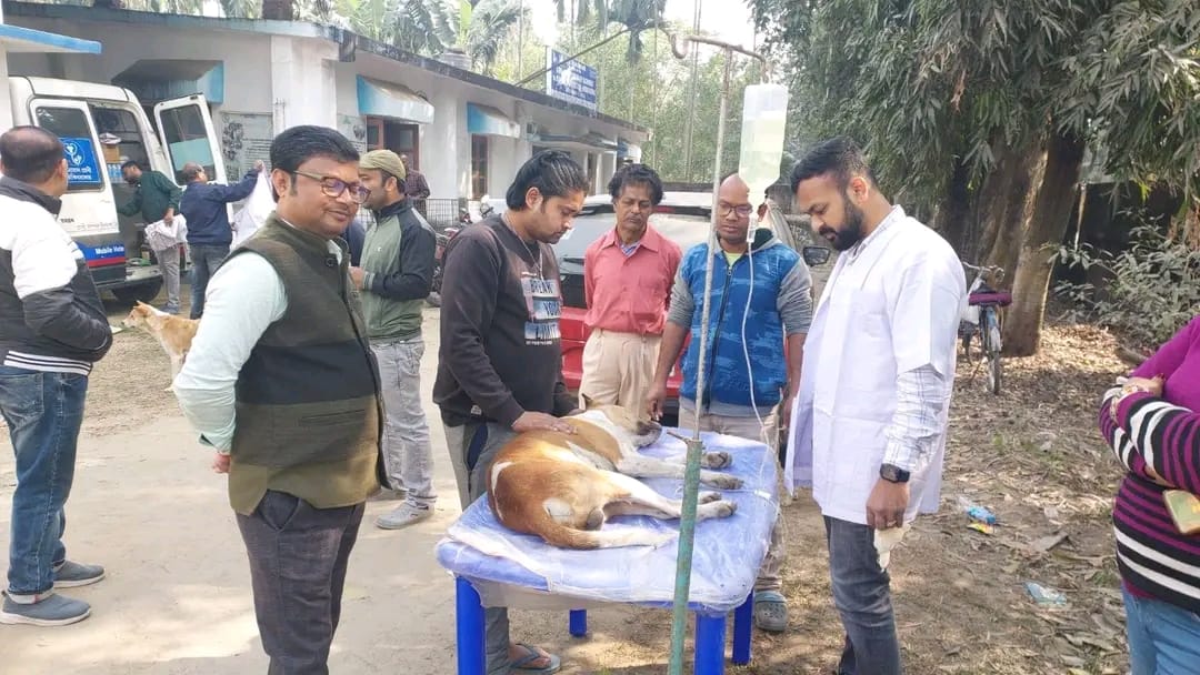 কালিয়াগঞ্জে বিশ্ব জলাতঙ্ক দিবস পালন: ব্লক প্রাণিসম্পদ বিভাগের উদ্যোগে পথ কুকুরদের টিকাকরণ