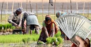 কৃষকবন্ধুর পর এবার ভূমিহীন চাষিদেরও আর্থিক সহায়তা,ইসলামপুরে সরকারি অনুদান পেতে শিবিরে উপচে পড়া ভিড়