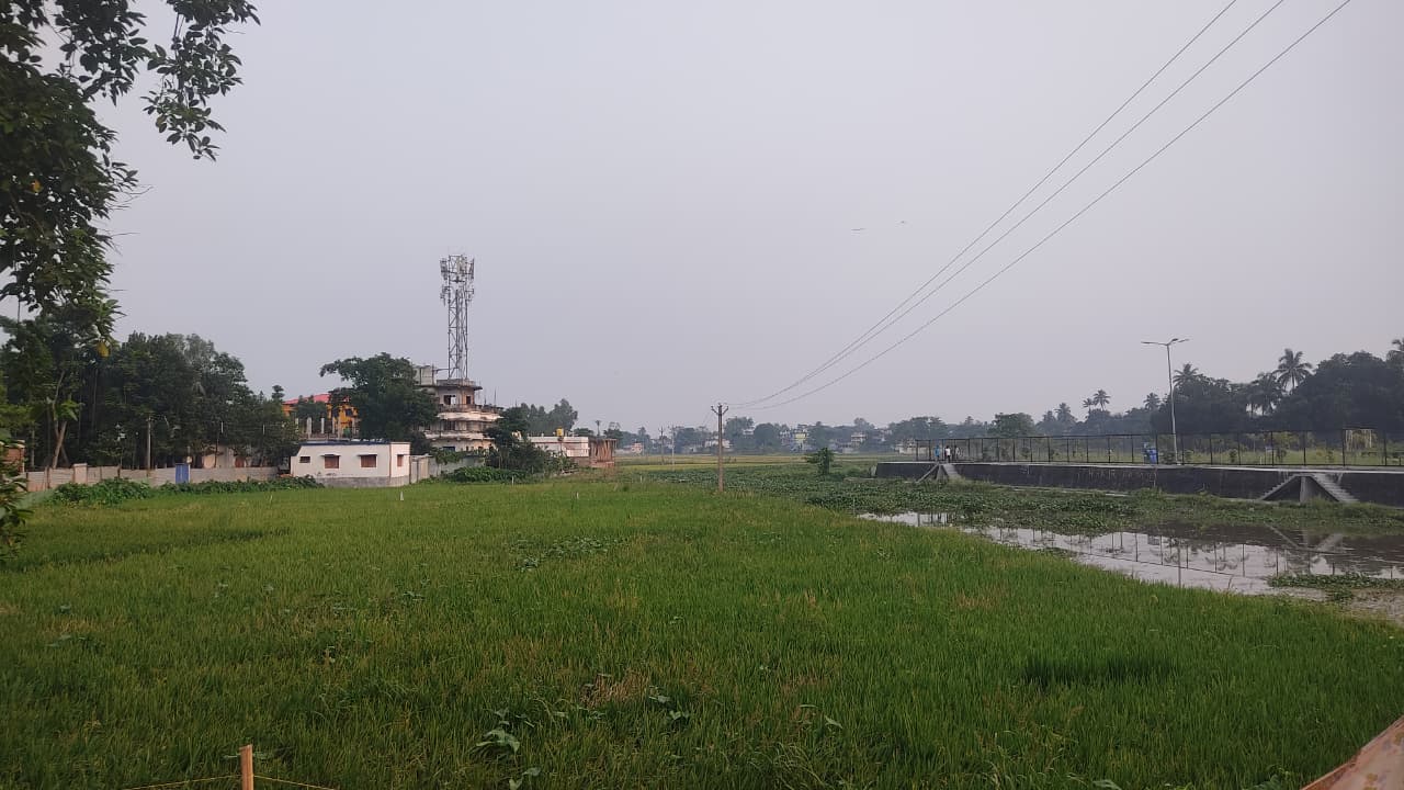 সরকারি নথিতে ‘উধাও’ শ্রীমতি নদী! রায়তি সম্পত্তির জালে হারাচ্ছে কালিয়াগঞ্জের ঐতিহ্য, উঠছে বড়সড় দুর্নীতির অভিযোগ