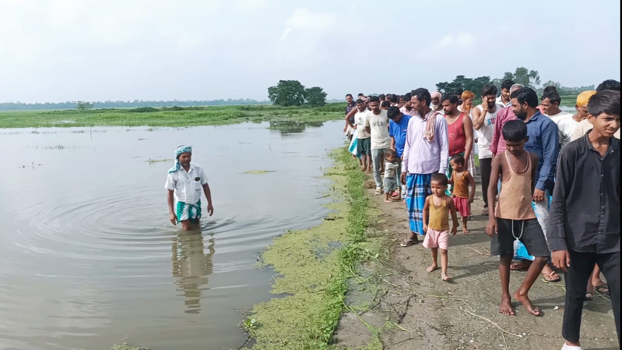 টানা বৃষ্টিতে জলের তলায় বিঘার পর বিঘা ধানখেত, ফসল নষ্টের আশঙ্কায় দিশেহারা কৃষকরা; জলনিকাশির দাবিতে আন্দোলনের হুঁশিয়ারি