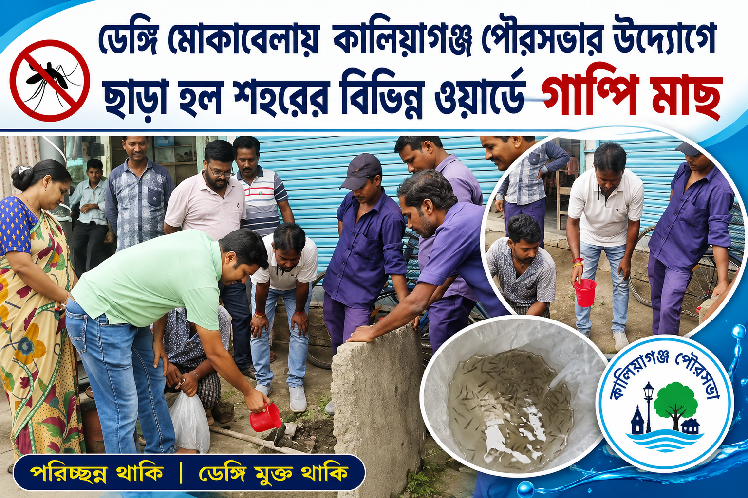 ডেঙ্গির বিরুদ্ধে জৈবিক যুদ্ধ শুরু! শহরের ওয়ার্ডে ওয়ার্ডে হাজার হাজার গাপ্পি মাছ ছাড়ল কালিয়াগঞ্জ পৌরসভা